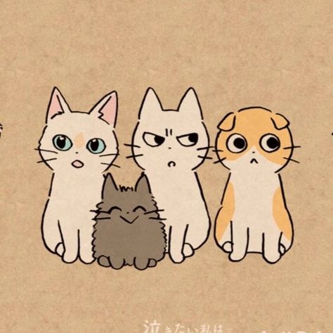 Three Cats, Collage Poster, Dog Illustration, Room Wallpaper, School Life, Cat Drawing, Cat Art, Animal Drawings, Cute Cat