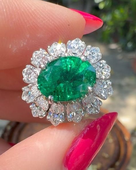 Jocelyn Lane on Instagram: "SOLD Next I have for you the most saturated emerald I think I’ve ever seen. I didn’t even know this was an emerald when I first laid eyes on it, it’s that saturated, and the fact that it’s cut into an oval makes it even more unique. Most emeralds are cut in step cut because of the growth structure of the crystals so this is truly a unique gemstone in so many ways.  • Set an 18 karat gold this fabulous 1950s cocktail ring has a deeply saturated Zambian emerald center stone. Zambian emeralds are known for their pure green color and deep saturation. Some say their color is even better than Colombian emeralds, and after seeing this one I might agree. The emerald measures 10.29 x 7.66 x 5.54 making it’s approximate weight 2.25 carats. There is approximately 3 CTW of Jocelyn Lane, 1950s Ring, Heirloom Rings, Golden Rings, Golden Ring, Zambian Emerald, Right Hand Rings, Step Cut, Colombian Emeralds