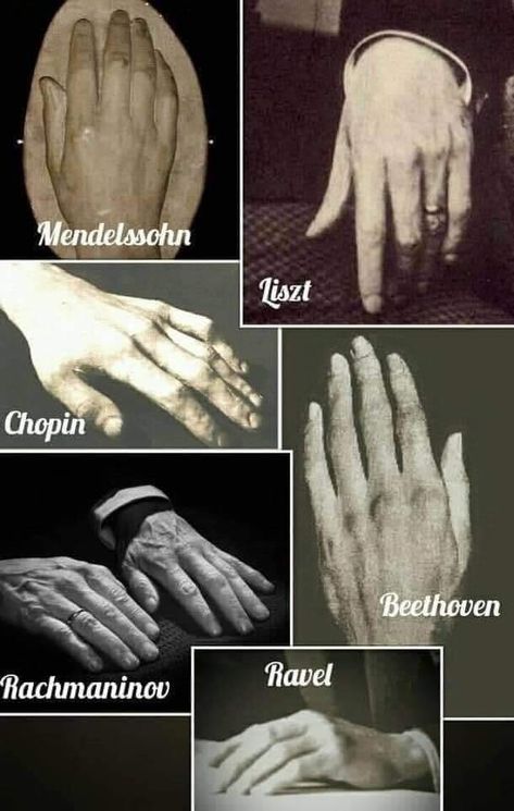 Pianist Hands Aesthetic, Pianist Hands, Piano Sheet Music Classical, Classical Music Composers, Famous Composers, Istoria Artei, Classical Musicians, Queen Band, Music Composers