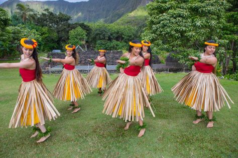 The Culture of Hawaii Hula Outfit, Hawaiian Hula Dance, Hawaiian Hairstyles, Hawaii Hula, Ladies Fancy Dress, Hawaiian Airlines, Traditional Hairstyle, Hawaii Maui, Hula Dance