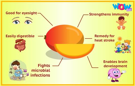 Mango Day Activity For Kids, Fruit Facts, Mango Fruit, Facts For Kids, School Crafts, Cartoon Kids, Fun Learning, Kids Learning, Activities For Kids