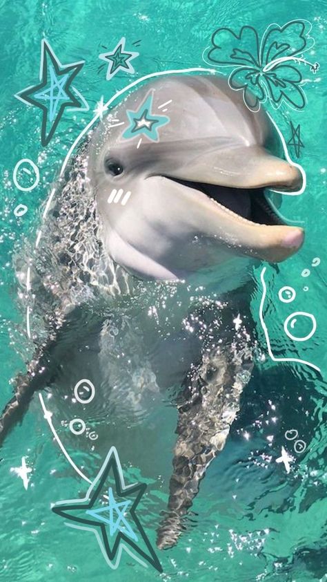 Cute Dolphin Wallpaper, Dolphin Aesthetic Wallpaper, Dolphin Wallpaper Aesthetic, Dolphins Aesthetic, Dolphin Aesthetic, Dolphin Wallpaper, Dolphins Wallpaper, Dolphin Photos, Whatsapp Wallpapers Hd