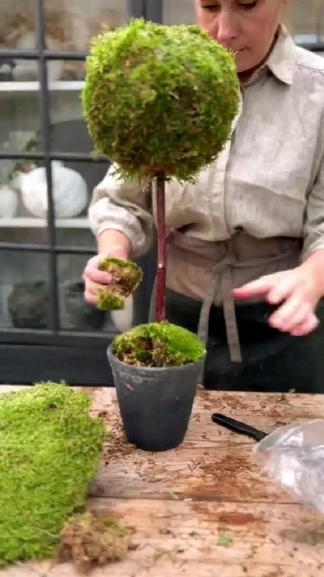 Božićne Dekoracije, Moss Decor, Outdoor Deco, Homemade Christmas Decorations, Moss Garden, Diy Crafts Room Decor, Garden Fountains, Christmas Flowers, Dried Flower Arrangements