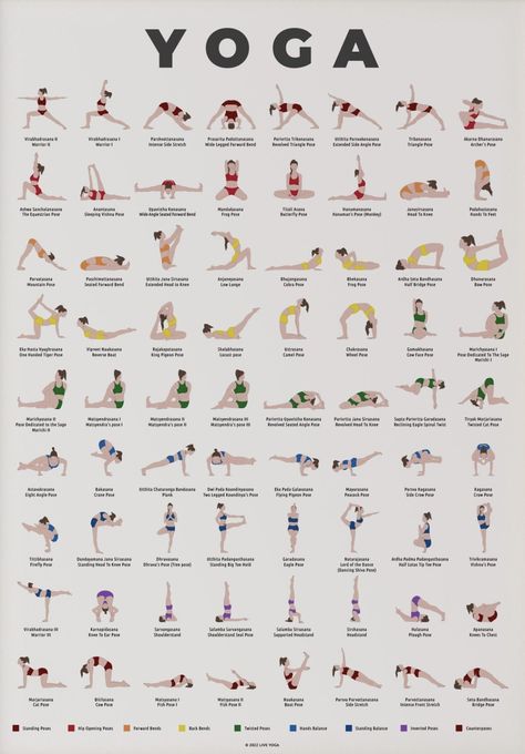 Rocket Yoga Sequence, Beginner Yoga Class Plan, Stiff Body Stretches, Stretching For Flexibility Beginners, Stretching Poses Reference, Yoga Stretches For Flexibility, Stretch Pose, Dynamic Stretching Exercises, Yoga Poses Chart