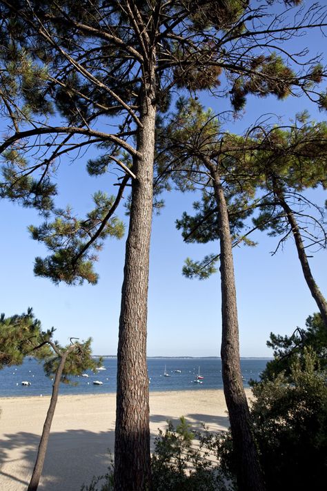 Road Trip France, Cap Ferret, Art Wallpaper Iphone, Aquitaine, Pretty Places, Travel Bucket, Travel Fun, Beautiful Landscapes, Landscape Photography