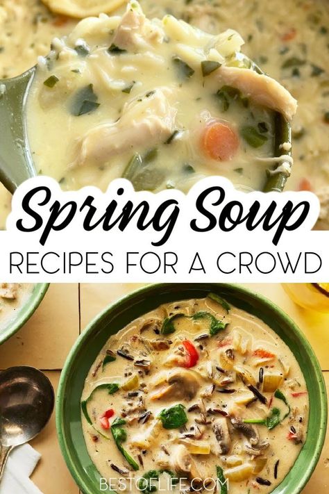 Spring Soups Recipes, Spring Soup Ideas, Spring And Summer Recipes, Soup Recipes For A Crowd, Fresh Spring Recipes, Soups For Easter, Spring Mix Recipes, Spring Chicken Soup, Spring Party Recipes