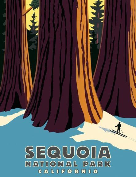 Sequoia National Park poster - California - visited this awesome park California Illustration, Vintage National Park Posters, Sequoia National Park California, California Nature, Vintage Ski Posters, Tourism Poster, Nature Vintage, Ski Posters, Retro Travel Poster