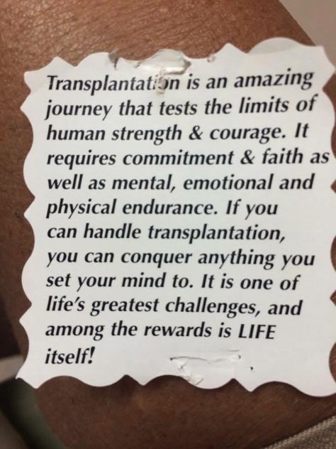 Transplant Organ Donor Quotes, Organ Donation Quotes, Kidney Transplantation, Donation Quotes, Engineering Life, Kidney Donation, Organ Donation Awareness, Kidney Donor, Lung Transplant