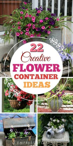 Have a look at these garden containers from home gardens and grab planter ideas for your yard. #gardening #containers #flowerplanters #gardenideas #repurposed #empressofdirt Flower Container Ideas, Repurposed Planter, Indoor Gardening Supplies, Home Gardens, Container Ideas, Container Gardening Flowers, Planter Ideas, Garden Containers, Creative Gardening