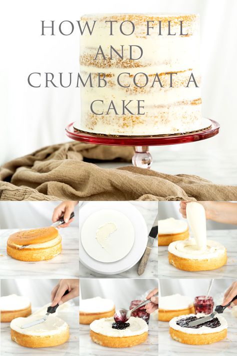 Crumb Coat Recipe, Crumb Coat Cake, Crumb Coating A Cake, Crumb Coat, Savory Cakes, How To Stack Cakes, Frosting Techniques, Cake Decorating For Beginners, Rustic Cake