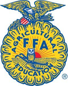 FFA Ffa Emblem, Ffa, Football, American Football