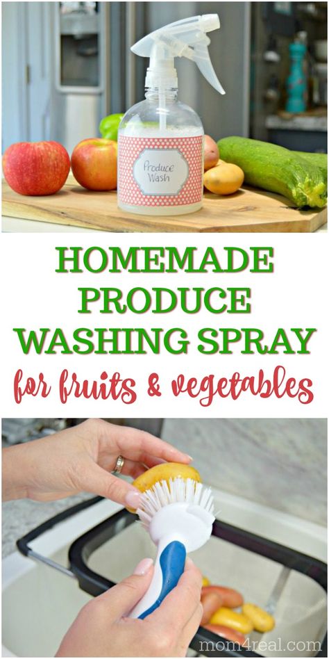 With all of the talk about chemicals and other substances that is on our fruits and vegetables when we purchase them, it's a good idea to make sure that they are super clean before we eat them and serve them to our families. With a couple of household ingredients, it is super simple to make your own homemade produce wash and get those fruits and veggies really clean. No need to buy the expensive store bought produce cleaners that claim to be chemical free! Produce Wash, Natural Cleaners, Cleaning Recipes, Cleaners Homemade, Green Cleaning, The Talk, Natural Cleaning Products, House Cleaning Tips, Diy Cleaning Products