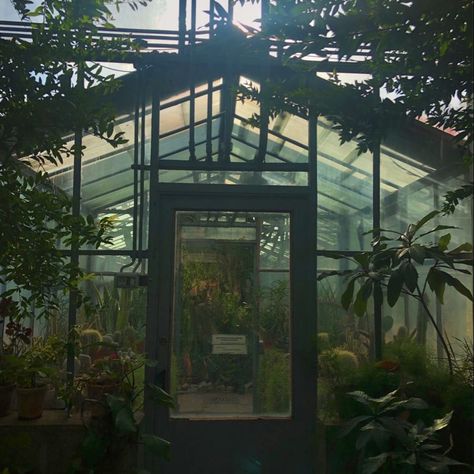 While we're still getting ready for our first launch, here are some inspo pics to get you in the Halloween mood. Plant Rain Aesthetic, Green Robot Aesthetic, Dark Greenhouse Aesthetic, Creepy Greenhouse, Vintage Greenhouse Aesthetic, Green Rain Aesthetic, Green House Aesthetic, Forest Academia, Eerie Aesthetic