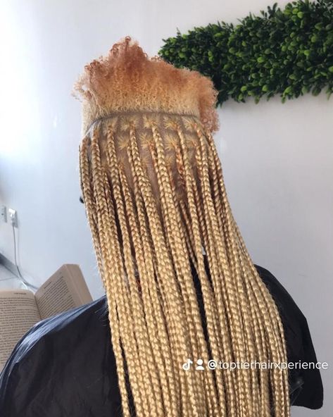 Knotless braids in light blond (colour 613) Honey Blonde Plaits, Light Blonde Knotless Braids, Long Blonde Knotless Braids, Color 27 Knotless Braids, 27 And 613 Knotless Braids, 613 Knotless Braids, 613 Braids, Honey Blonde Knotless Braids, Blonde Knotless Braids