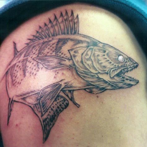 Walleye-Sauger Tattoo, walleye tattoo, walleye tattoo ideas, walleye tattoo pictures, forearm walleye tattoo, realistic walleye tattoo designs, tribal walleye tattoo, walleye tattoo designs, walleye tattoo back, realistic walleye tattoo, traditional walleye tattoo, walleye tattoo on back, infisherman walleye tattoo, walleye tattoo sketch, walleye tattoo slweeve, fishing walleye tattoo, black walleye tattoo, walleye tattoo sleeve, walleye tattoo water color, walleye tattoo watercolor Walleye Tattoo, Large Mouth Bass, King Tattoo, Tattoo On Back, Tattoo Watercolor, Tattoo Water, Tattoo Back, Tattoo Pictures, King Tattoos