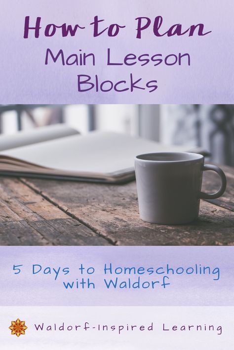 Planning lessons in main lesson blocks is an efficient way of arranging your homeschool lessons for optimal learning. In this 5-part series, learn which activities to include and how to put lessons together for your Waldorf-inspired, project-based, or unit studies homeschooling. Waldorf Toddler, Homeschool Styles, Classroom Libraries, Waldorf Homeschooling, Organized Teacher, Natural Learning, Homeschool Lessons, Waldorf Homeschool, Teachers Toolbox