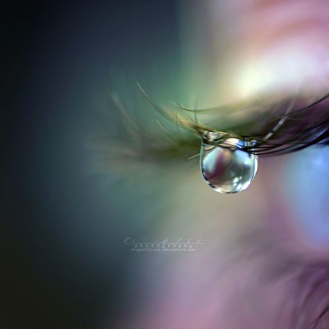 Crying Photography, Nikon D5000, Crying Eyes, Tears Art, Tears In Eyes, Eyeball Art, Fairy Wallpaper, Love Heart Images, Eyes Artwork