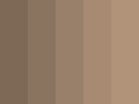 Sepia Wash Sepia Color Palette, Sepia Color, Color Symbolism, Color Tones, Color Wheel, Color Pallets, Earthy Tones, Colour Tone, Color Palettes