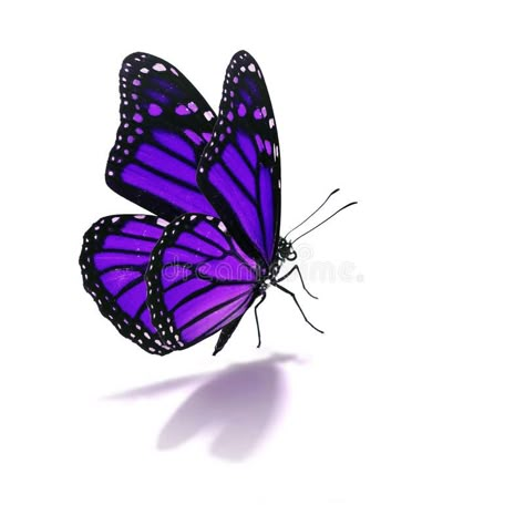 Tattoo Butterfly Hand, Purple Monarch Butterfly, Purple Tattoo, Purple Butterfly Tattoo, 3d Butterfly Tattoo, Butterfly Monarch, Insect Tattoo, Tattoo Butterfly, Butterfly Art Painting