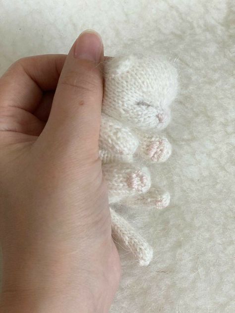 Little Cotton Rabbits, Animal Knitting Patterns, Knitting Patterns Free Hats, Sleeping Kitten, Knitted Cat, Knitting Patterns Toys, Knitted Animals, Fun Crochet Projects, Cute Kitten