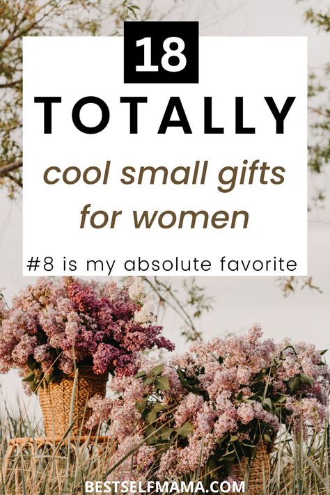 Inexpensive Birthday Gifts, Gifts For Older Women, Small Gifts For Women, 65th Birthday Gifts, Cheap Birthday Gifts, Boss Birthday Gift, Easy Birthday Gifts, Gifts For Young Women, Small Gifts For Friends