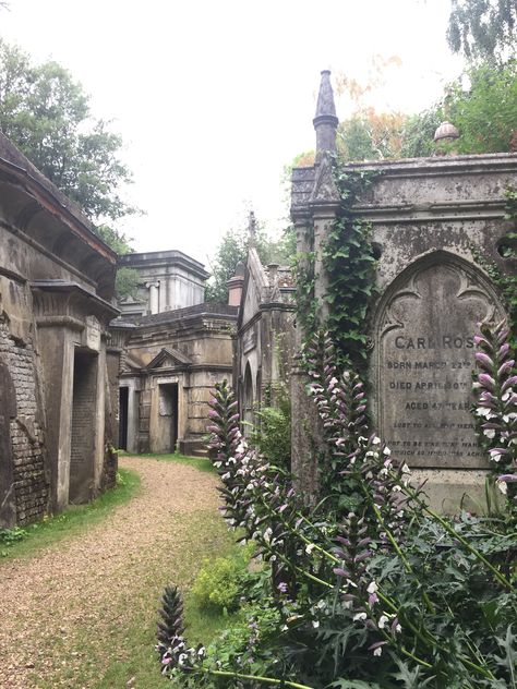 london cemetery London Cemetery, Cemetery, Barcelona Cathedral, Barcelona, London, Building, Travel