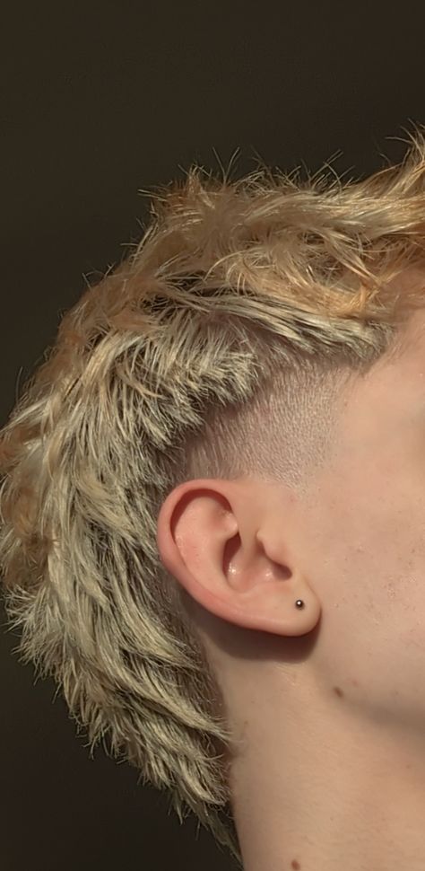 Short-medium blonde mullet with brown roots Burst Fade Mullet Women, Burst Fade Mullet Blonde, Men’s Modern Mullet Straight Hair, Short Edgy Mens Haircut, Short Blonde Mullet Men, Guy Mullet Haircut, Modern Mohawk Men Faux Hawk, Alt Mullet Men, Frosted Tips Mullet