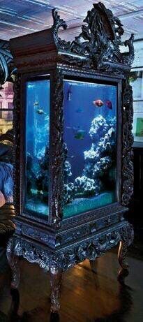 Amazing Cool Fish Tanks, Gothic Furniture, Cool Fish, Home Aquarium, Goth Home, Aquarium Fish Tank, Aquascaping, Gothic Decor, Gothic Home Decor