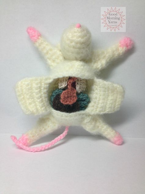 Dissected mouse with removable organs. Anatomical Crochet Pattern, Organ Crochet, Crochet Organs, Crochet Oddities, Cursed Crochet, Easy Crochet Animals, Knitting Patterns Free Scarf, Crochet Octopus, Knitted Animals