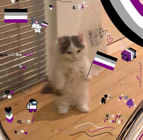 Asexual Humor, Lgbt Memes, Ace Pride, Lgbtq Funny, Gato Anime, Asexual Pride, Gay Memes, Flag Icon, Lgbt Love