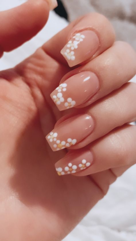 Spring Nails Daisies, Classy Spring Nails Square, Daisy Fingernails, Nail Ideas Daisy, Spring Nails Squoval, Daisy Nails Acrylic, Daisy Pedicure, Daisy French Tip Nails, Simple Daisy Nails