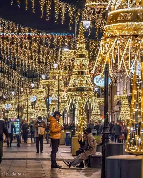 Warsaw, Poland Surely the winner of the Christmas lights competition? Christmas Destinations, New Year Wallpaper, Warsaw Poland, Wonderful Picture, Europe Fashion, Magical Christmas, Christmas Market, Outdoor Christmas Decorations, Classic Christmas