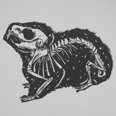 Guinea Pig Tattoo, Demon Inspiration, Pig Skull, Black Sheep Tattoo, Sheep Tattoo, Pig Tattoo, Pig Drawing, Skeleton Drawings, Bone Tattoos