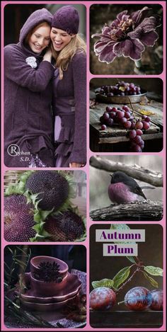 Plum Color Palette, Fall Purple, Color Schemes Colour Palettes, Color Collage, Beautiful Collage, Color Palette Design, All Things Purple, Colour Schemes, Color Pallets