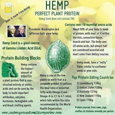 Hemp Lean Muscles, Balayage Ombré, Hemp Protein, Younger Skin, Health Nut, Hemp Seed, Healing Food, Perfect Plants, Plant Protein