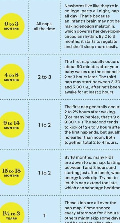 4 Month Old Schedule, Nap Routine, 7 Week Old Baby, Baby Development In Womb, Baby Development Chart, Three Month Old Baby, Two Month Old Baby, Sleep Chart, Baby Development Activities