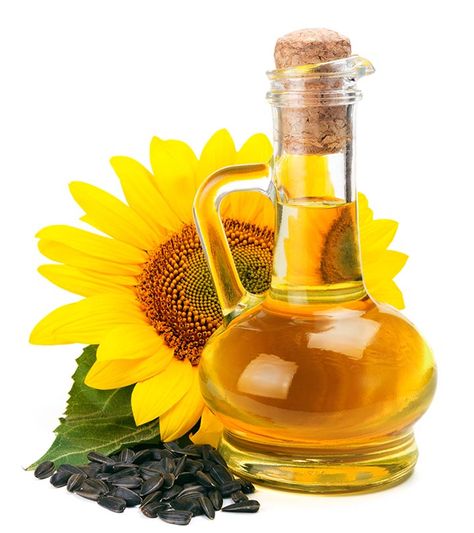 Benefits Of Sunflower Oil, Ginger Side Effects, Sunflower Oil Benefits, Turmeric Milk Benefits, Mango Benefits, Green Teas, Turmeric Milk, Dry Brittle Hair, Lemon Benefits