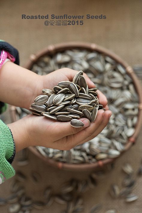 Roasted sunflower seeds food photography Nuts Photography, Seeds Photography, Roasted Sunflower Seeds, Seed Logo, Food Commercial, Spices Photography, Chia Seeds Benefits, Ad Photography, Edible Seeds