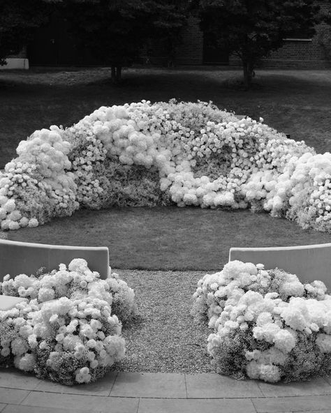 Floral clouds at @thegrovehotel ☁️ @charlottewisephotography @kristina.kempton @juno.wedding.films @larrywalshe #weddingflorals #weddingfloraldesign #editorialweddingphotographer #editorialweddingphotography #blackandwhiteweddingphotography Kristina Kempton, Floral Clouds, Wedding Flower Ideas, Flower Ideas, Juno, Artificial Plants, Wedding Flower, Celebrity Weddings, Floral Wedding