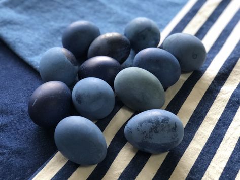 How to Make Plant-Based Dyes@judyschickens Everything Blue, Rabbit Hole, Print Fabric, Easter Eggs, Plant Based, Printing On Fabric, Easter, Dye, Instagram Post