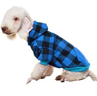 Kat Diy, Clothes Sweaters, Cold Weather Dogs, Dog Winter Clothes, Fall Dog, Boy Dog, Puppy Clothes, Dog Sweatshirt, Winter Dog