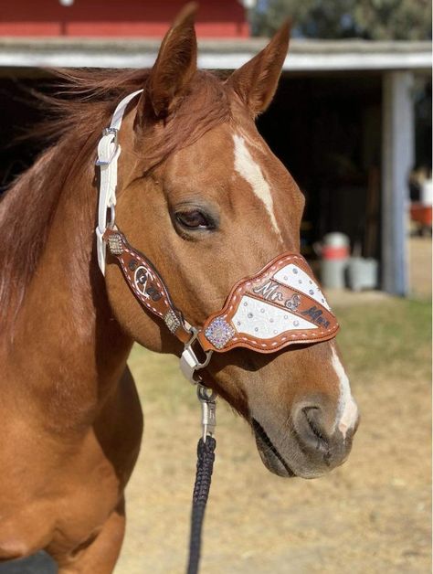 Bronc Halter Noseband, Custom Bronc Halter, Bronc Halter Noseband Custom, Custom Horse Halter, Barrel Racing Tack Sets, Bronc Halter, Leather Horse Halter, Leather Bridles Horse Tack, Horse Halter