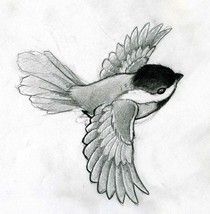 Chickadee Drawing, Chickadee Tattoo, Bird Painting Diy, Simple Bird Tattoo, Vogel Silhouette, Black Bird Tattoo, Sparrow Tattoo, Tattoo Background, Graphite Art