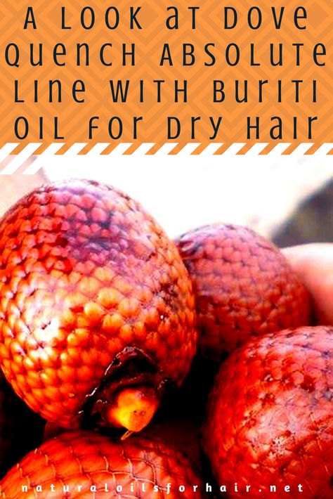 A Look at Dove Quench Absolute Line with Buriti Oil for Dry Hair Oil For Dry Hair, Buriti Oil, Healthy Hair Care, Texturizer On Natural Hair, Hair Texture, Drop In, Hair Care Tips, Dry Hair, Care Tips