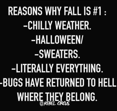 21 Memes for Those Obsessed with Fall Pumpkin spice candles, pumpkin spice gum, even pumpkin spice butter. Bring. it. And we better deal!  All of the bugs, dead where they need to be.  Let’s do this! Let’s get some pumpkins up in here! Get in the car, go go go! A crown of leaves, a … Candles Pumpkin, Halloween Sweaters, Autumn Things, Get In The Car, Inner Monologue, Thanksgiving Tree, Fall Memes, Fall Beauty, Spooky Szn