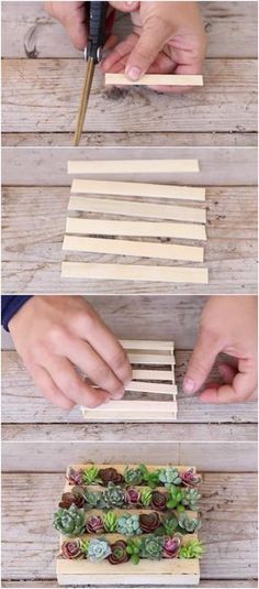 Make the Cutest Succulent Mini-Pallet EVER Out of Popsicle Sticks via @vanessacrafting Hobbit Garden, Diy Popsicle Stick Crafts, Creative Planter, Pallet Planter, Succulents Decor, Succulent Gardening, Decoration Plante, Popsicle Stick Crafts, Mini Succulents