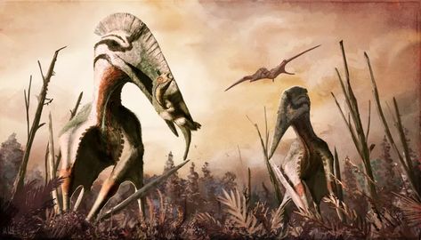 The Feathered Serpent God, Quetzalcoatlus Dragon Fossil, Paleo Art, Extinct Animals, Prehistoric Creatures, Prehistoric Animals, Large Animals, Portsmouth, Southampton, T Rex