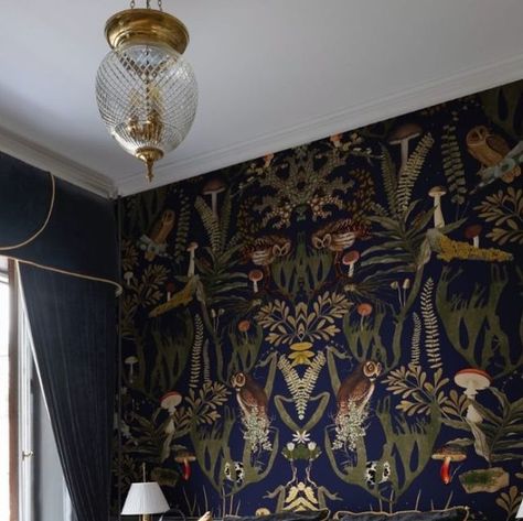 The Witch’s Hearth on Instagram: "Whimsical wallpaper - yay or nay? 🦉🌿 . Photo credit: @rebelwalls . . . . #witchhome#witchaesthetic#witchhouse#witchydecor#witchyvibes#witch#witchcore#wallpaper#goblincore#cottagecore" Witchcore Wallpaper, Dark Cottagecore Wallpaper, Swedish Forest, Whimsical Wallpaper, Dark Bohemian, Dark Cottage Core, Cottagecore Wallpaper, Farrow & Ball Wallpaper, Bohemian Interiors