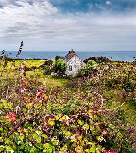 Love Ireland, Irish Landscape, Irish Cottage, Ireland Landscape, Cottage By The Sea, By The Ocean, Ireland Travel, British Isles, Nature Landscape