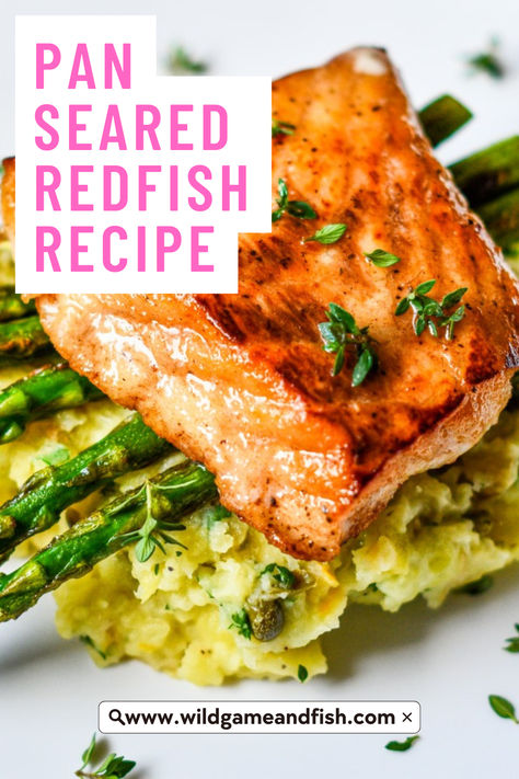 Pan Seared Redfish with Pomme Puree and Asparagus Redfish Recipes Baked, Red Snapper Filet Recipes Pan Seared, Red Drum Fish Recipes, Red Fish Recipes, Gordon Ramsay Mashed Potatoes, Snapper Filet Recipes, Redfish Recipes, Roasted Halibut, Best Fish Recipes